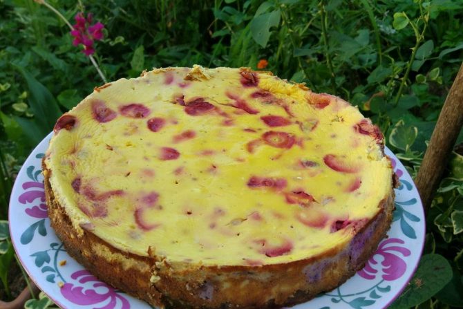 Recept za proteinski cheesecake